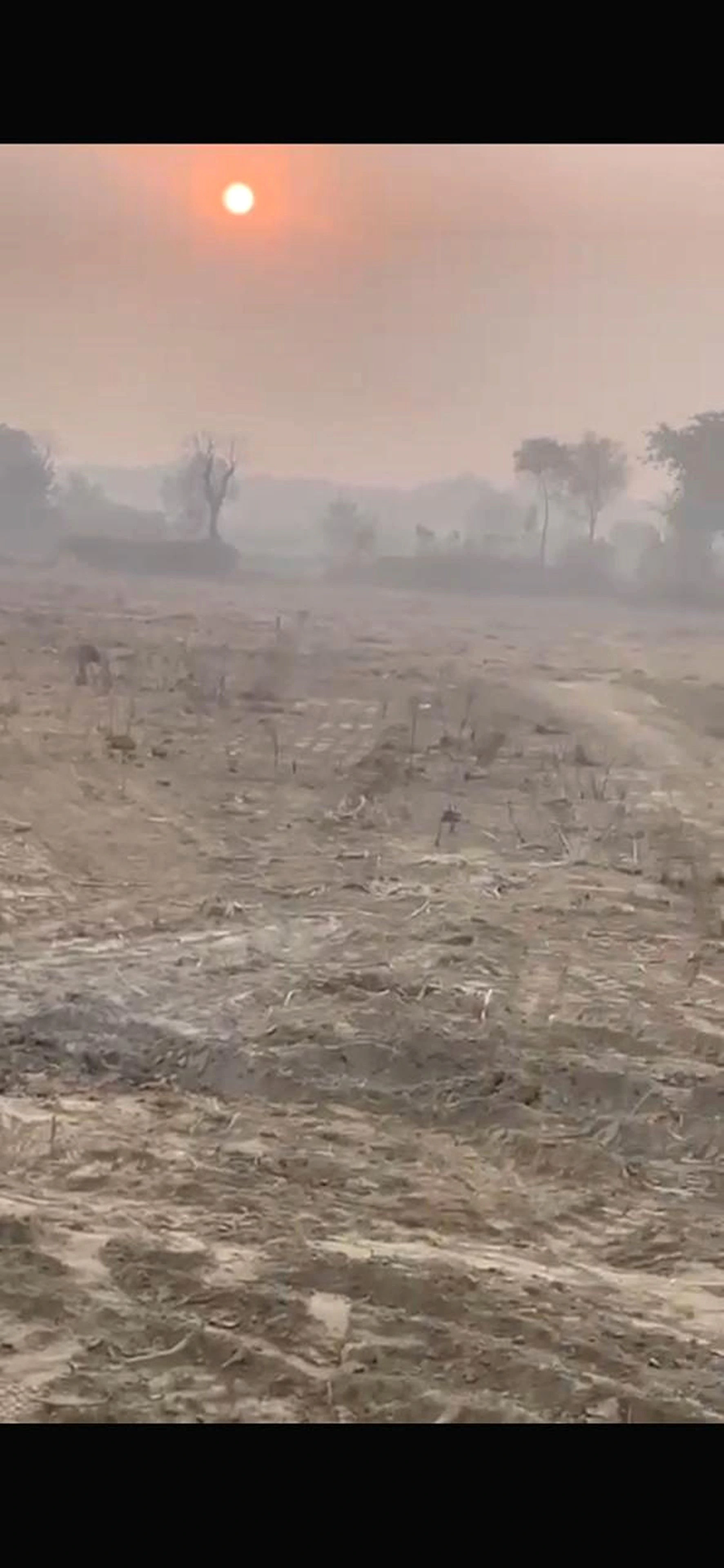 Tilbegumpur, Uttar Pradesh 203206, India