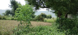 Dadhikar, Rajasthan 301001, India preview 3