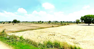 Chhata, Uttar Pradesh 281401, India preview 3