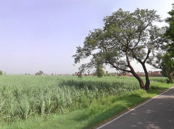 Baraut, Uttar Pradesh 250611, India