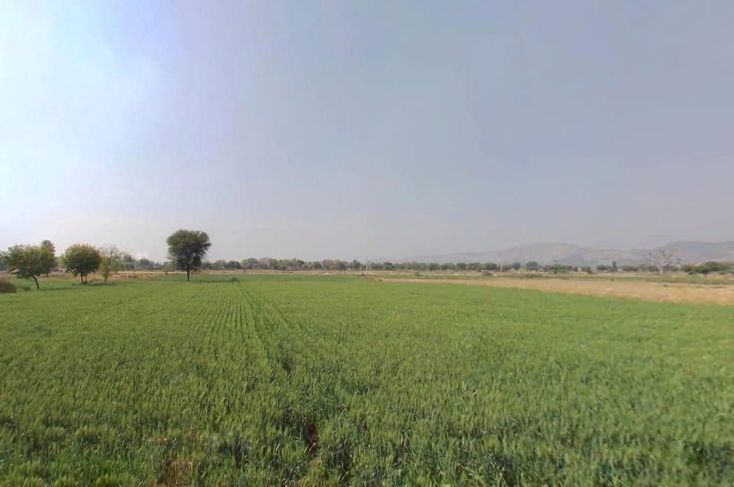 Chikani, Rajasthan 301028, India preview 3