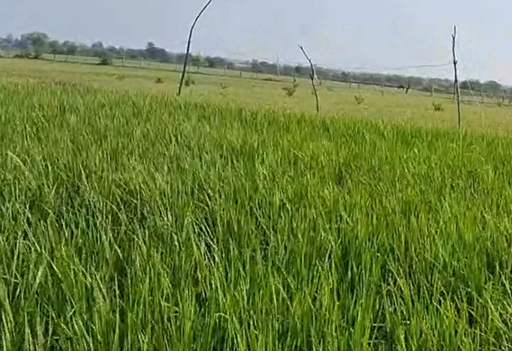 Obanaikanahalli, Karnataka 562123, India