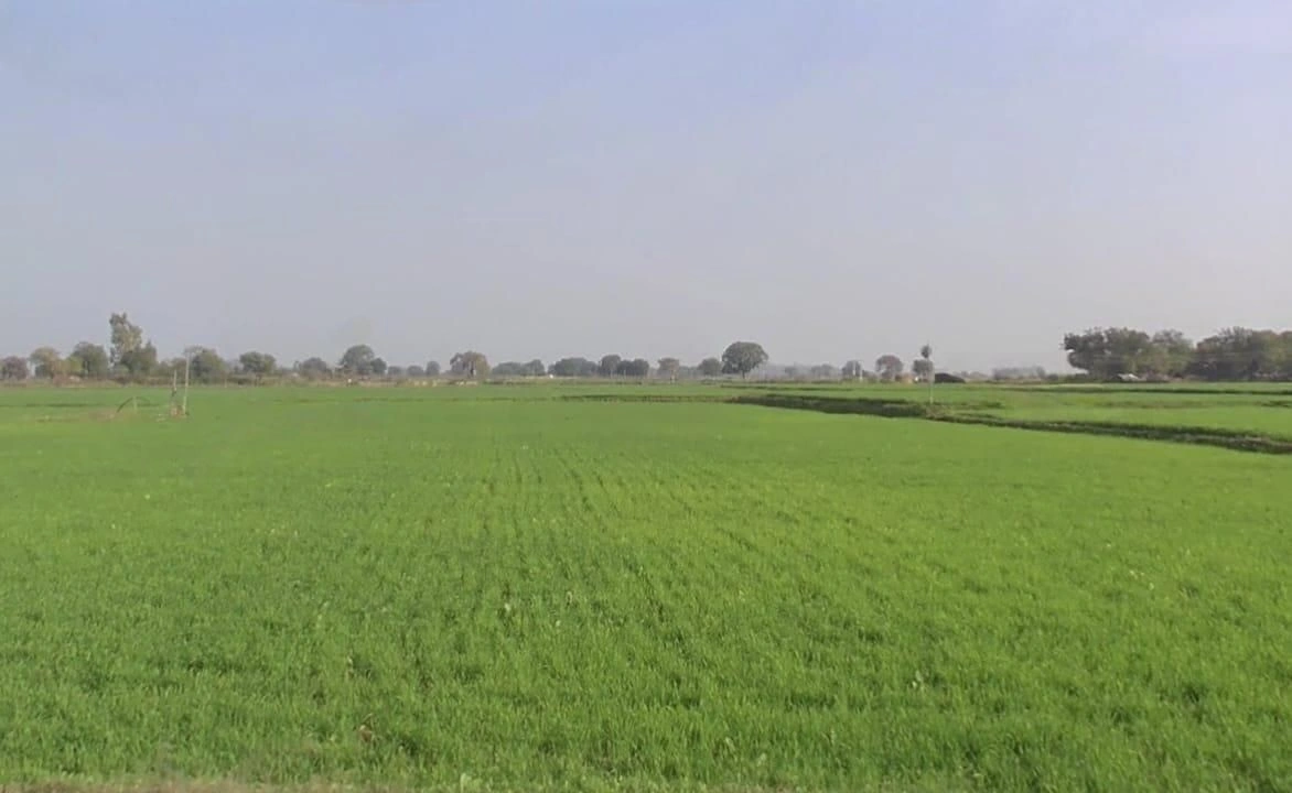 Syau, Madhya Pradesh, India