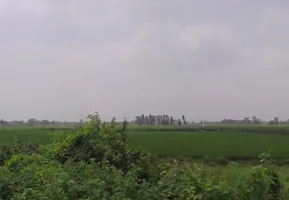 7772+J8C, Hitauta, Hitauti, Uttar Pradesh 242405, India preview 3