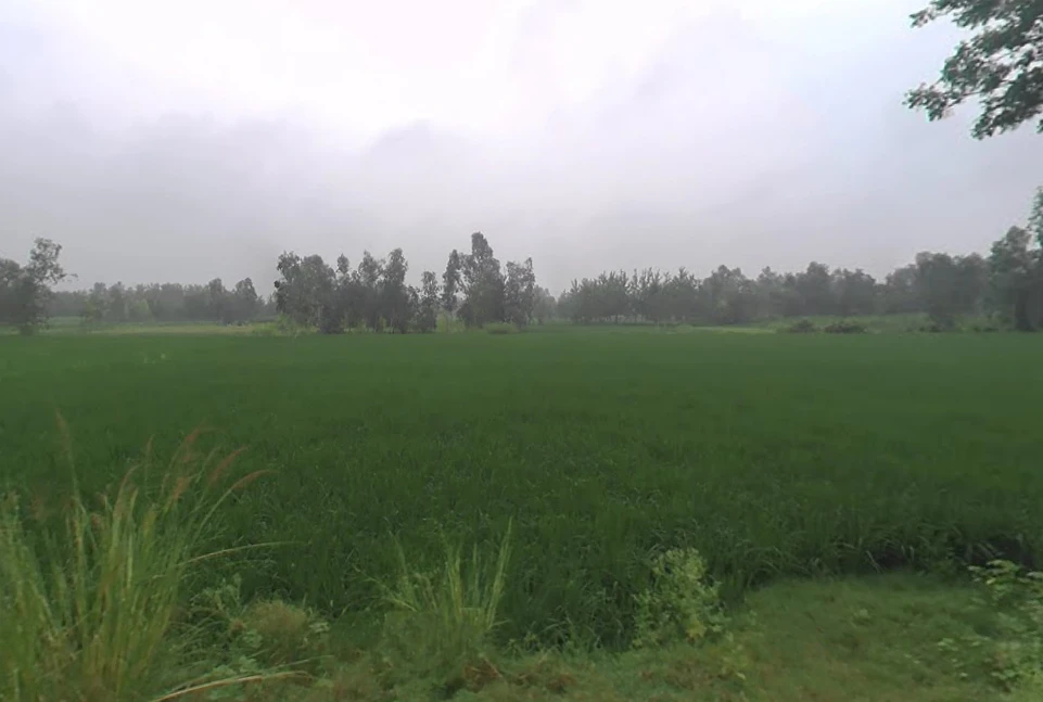 Mirganj, Uttar Pradesh 243504, India