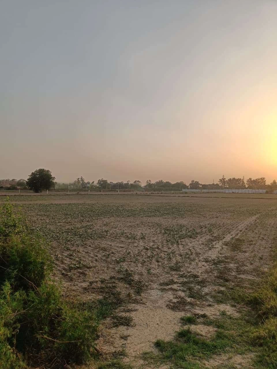 Chandauri, Uttar Pradesh, India