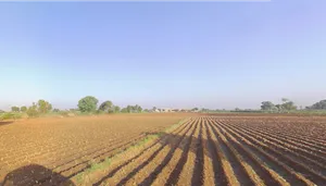 Lakadia, Gujarat 370145, India preview 3