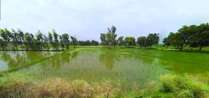 Purulia, West Bengal, India preview 2