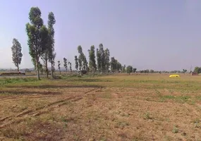 Chamroda, Rajasthan 301405, India preview 2