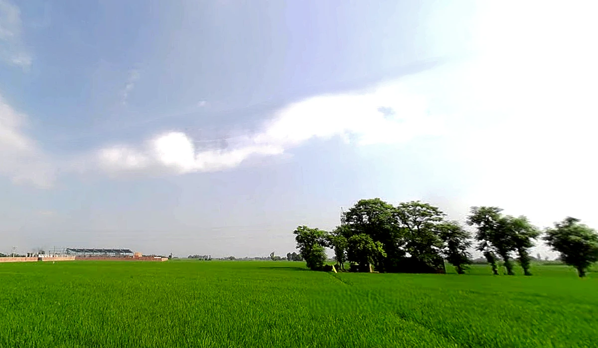 Morinda - Chunni Rd, Bhateri, Punjab, India