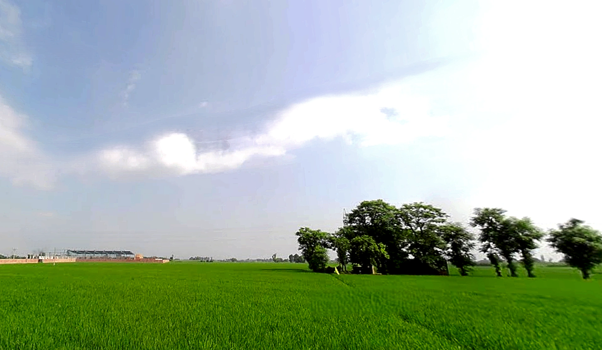 Morinda - Chunni Rd, Bhateri, Punjab, India