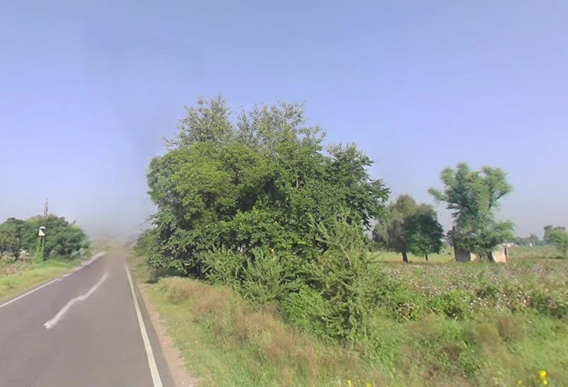 Barodameo, Rajasthan 301021, India