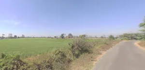Dinod, Gujarat 394125, India preview 2
