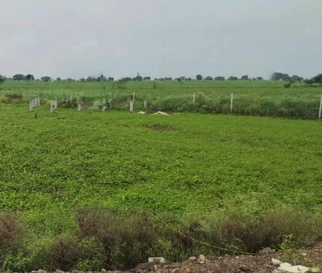 Bilgaon, Madhya Pradesh 481990, India