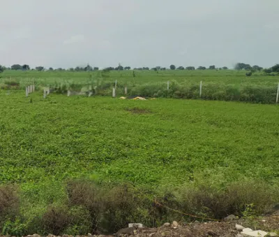 Bilgaon, Madhya Pradesh 481990, India preview 6