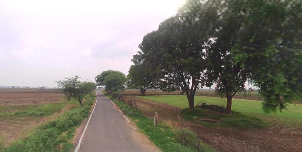 Bazpur, Uttarakhand 262401, India