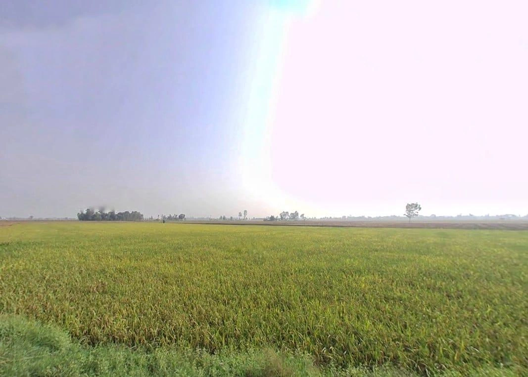 VV7P+PR Bhagchuri, Uttarakhand, India