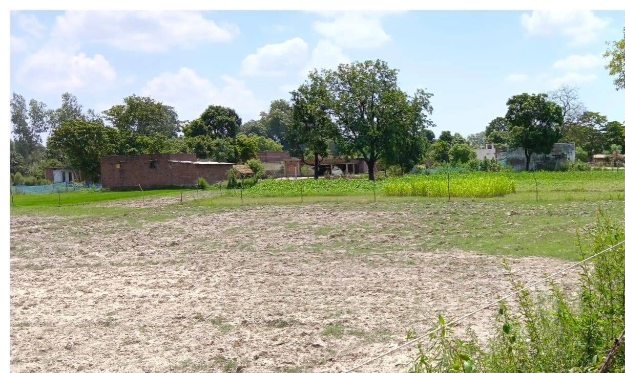 JX8R+HP Mawai Khurd, Uttar Pradesh, India