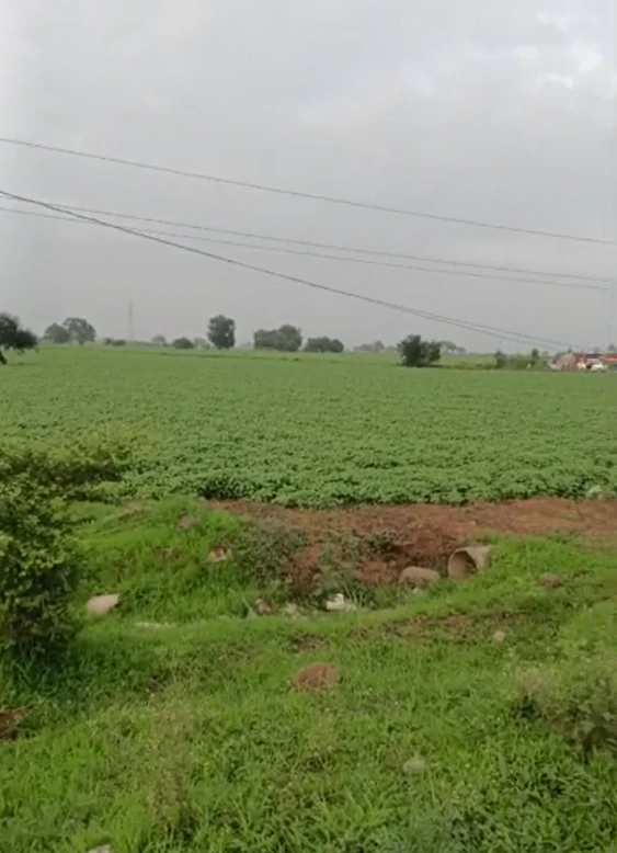 Bangar, Dewas, Madhya Pradesh 455001, India