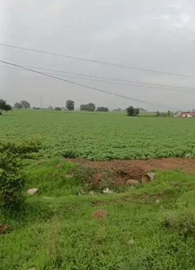Bangar, Dewas, Madhya Pradesh 455001, India preview 2