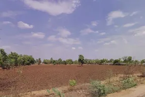 Bhilwara, Rajasthan, India preview 2