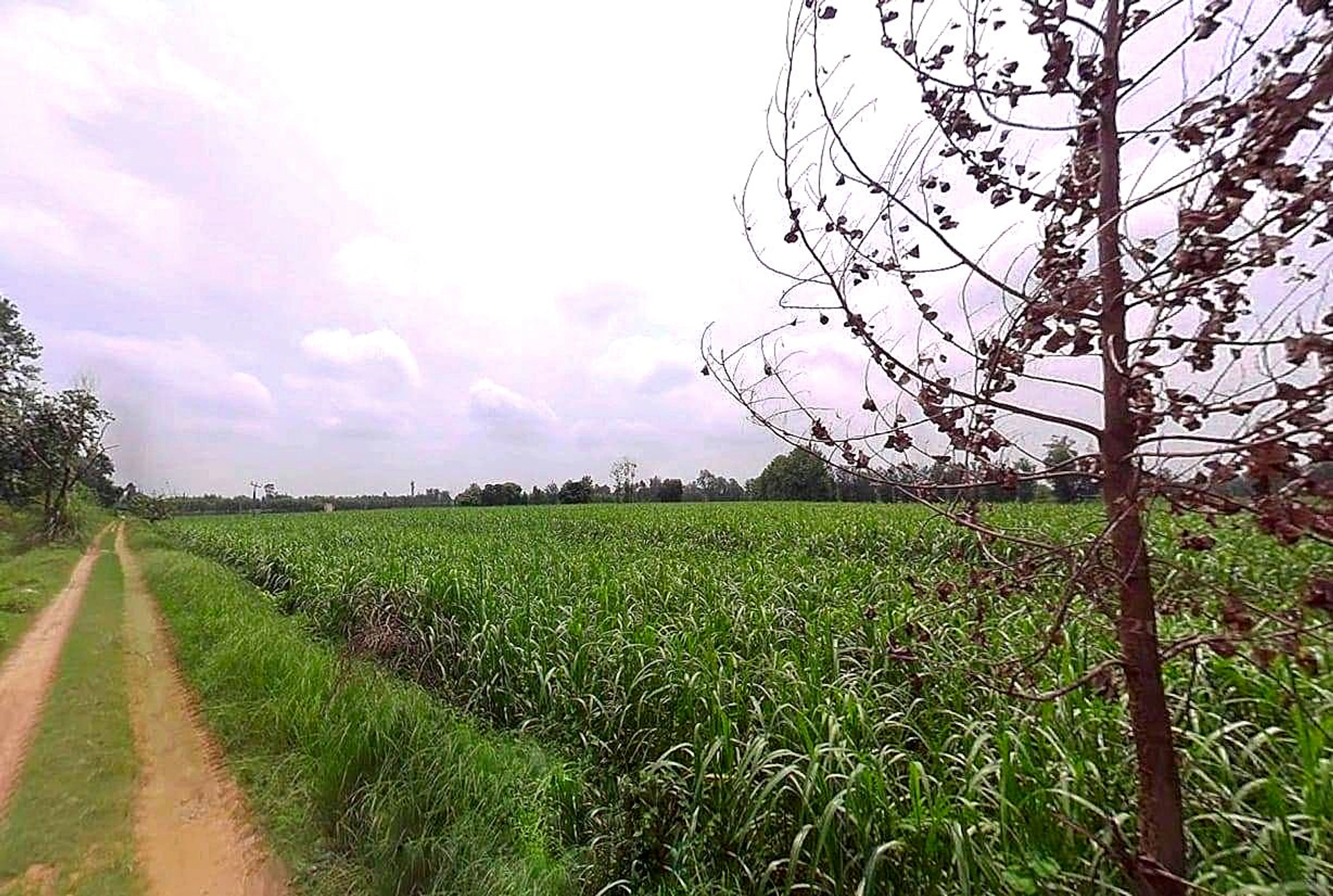 P3JQ+3C8, Salarpur, Uttar Pradesh 245205, India