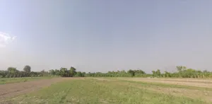 Terasiya, Bihar, India preview 2