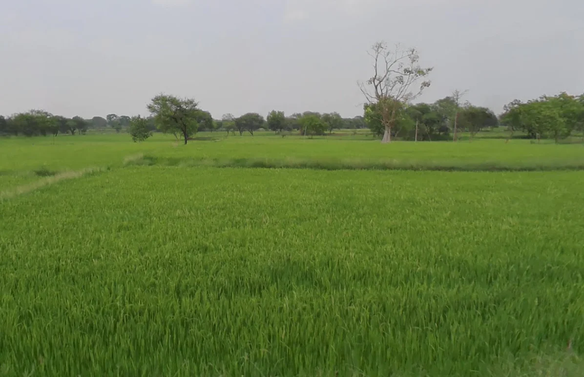 Basen, Chhattisgarh 496224, India preview 2