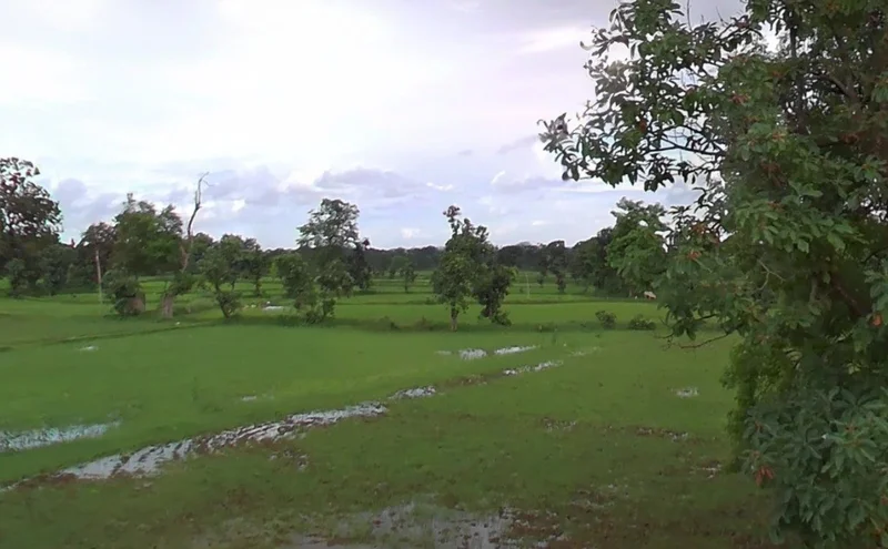 Kotani Rd, Chhattisgarh, India preview 2