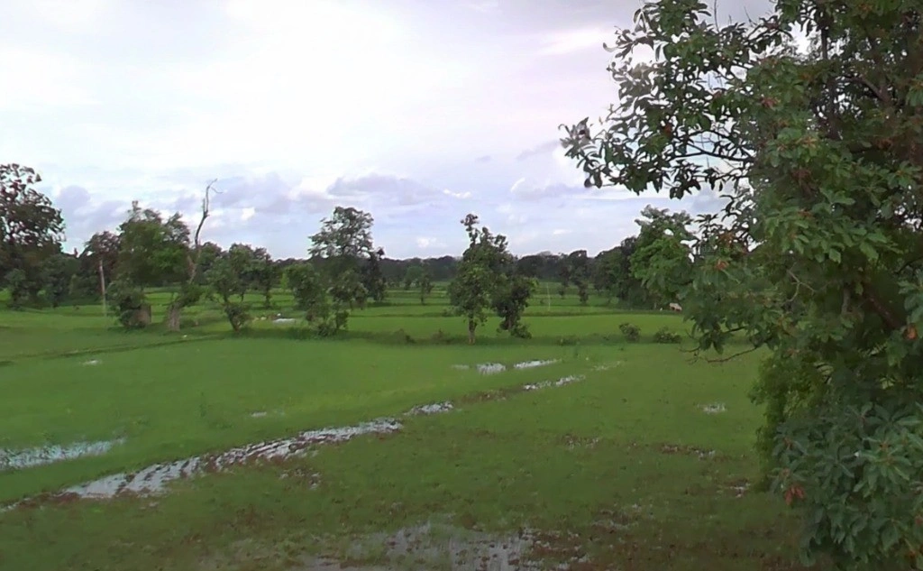 Kotani Rd, Chhattisgarh, India