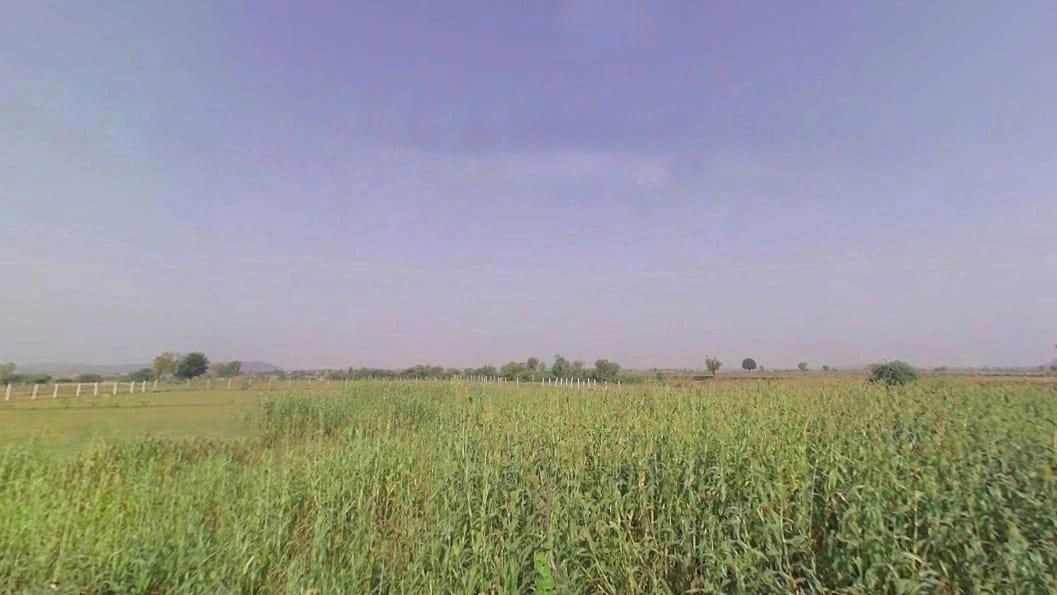 Pinan, Rajasthan, India