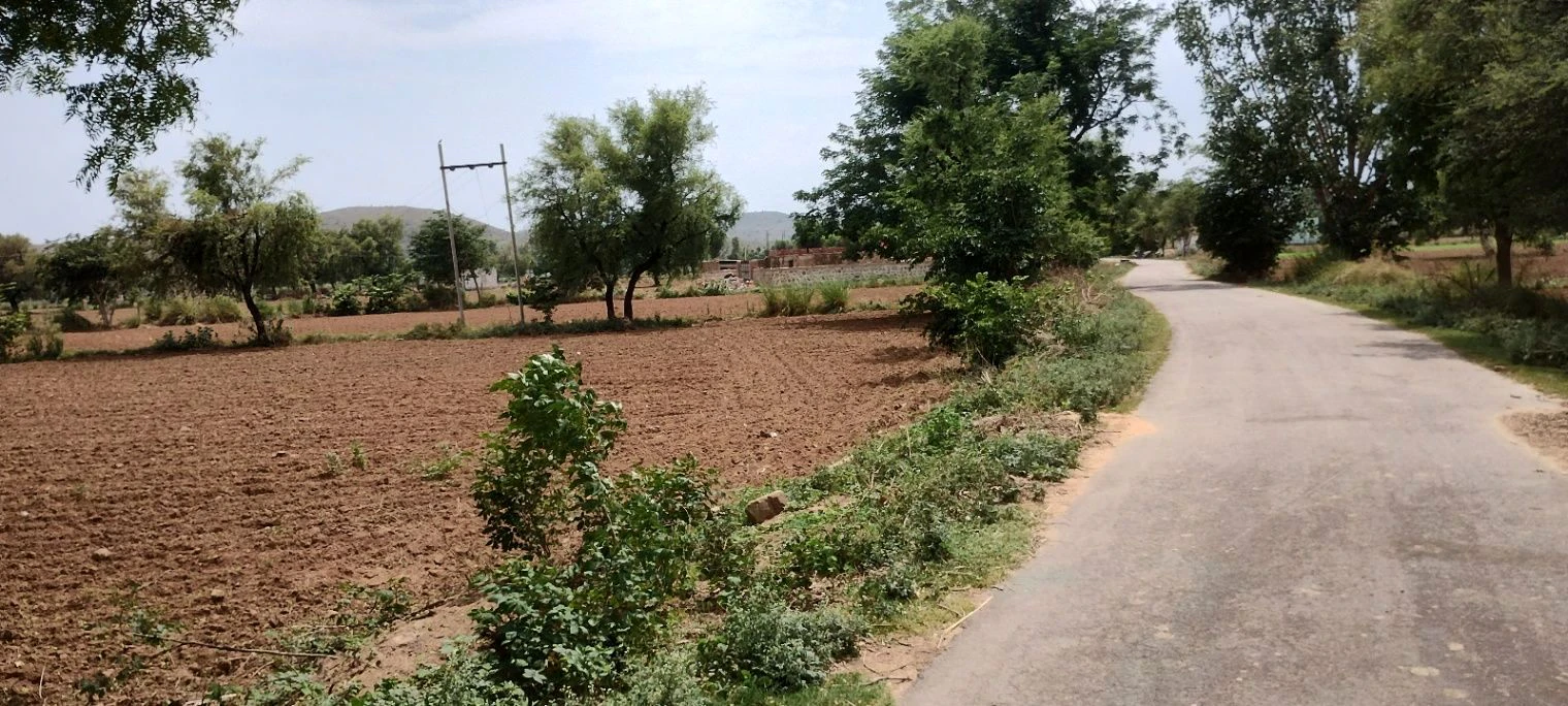 Ronpur, Rajasthan, India