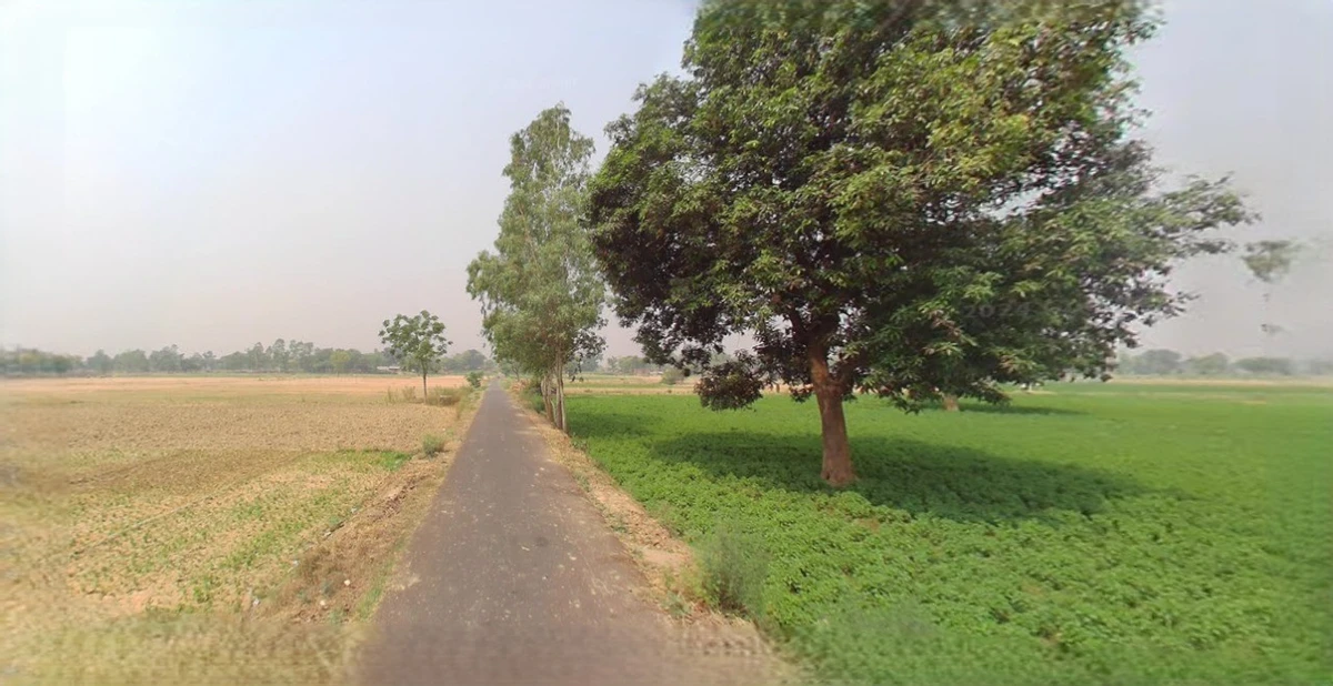 Bijnor, Uttar Pradesh 246701, India