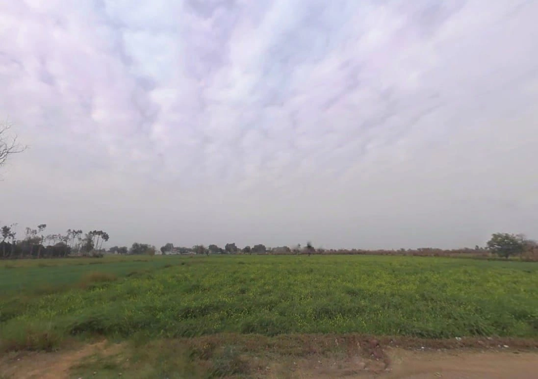 CJF4+W8 Mohabbatpur, Rajasthan, India preview 2