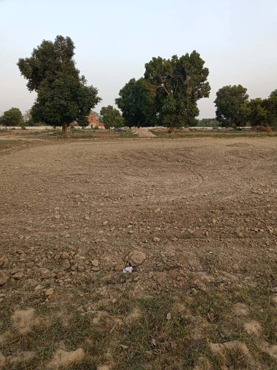 Tentigaon, Uttar Pradesh, India