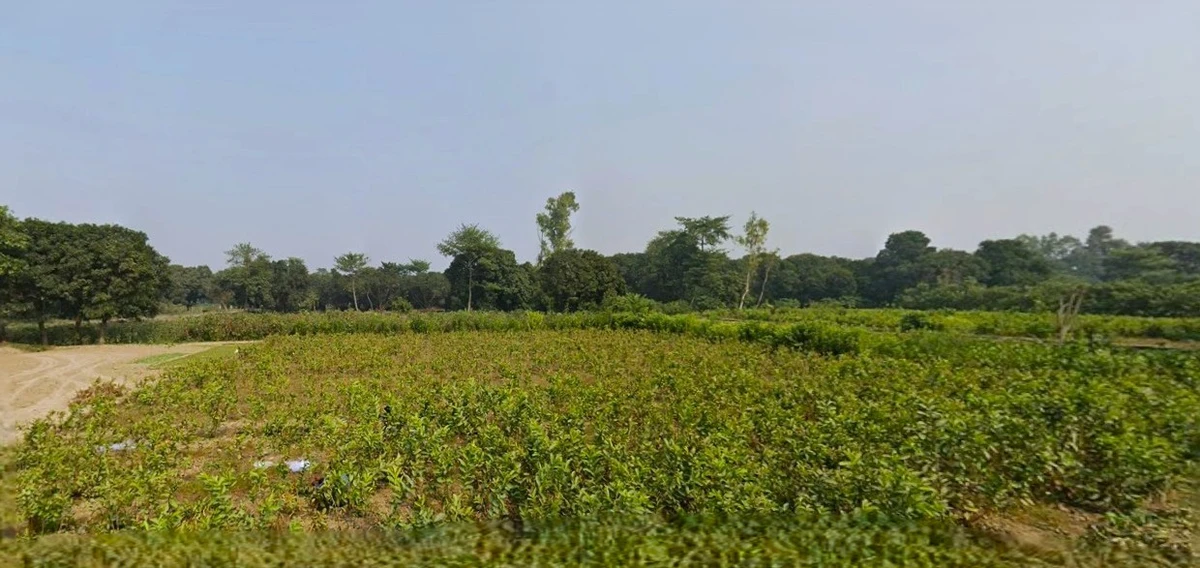 Dund Pur, Uttar Pradesh 209821, India