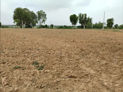 Sewah, Panipat, Haryana, India preview 2