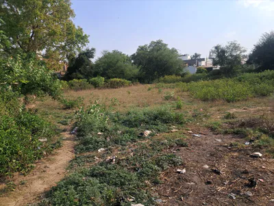 Barnagar, Madhya Pradesh 456771, India preview 2