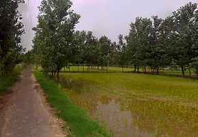 Salampur Gadda, Uttar Pradesh 247001, India preview 3