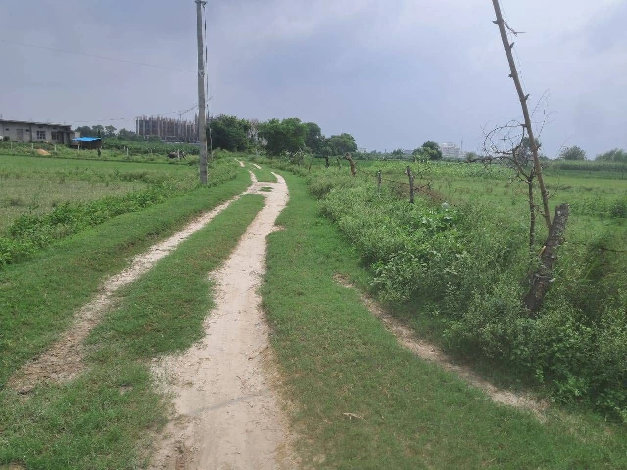 V628+C8 Raheli, Gonda, Uttar Pradesh, India