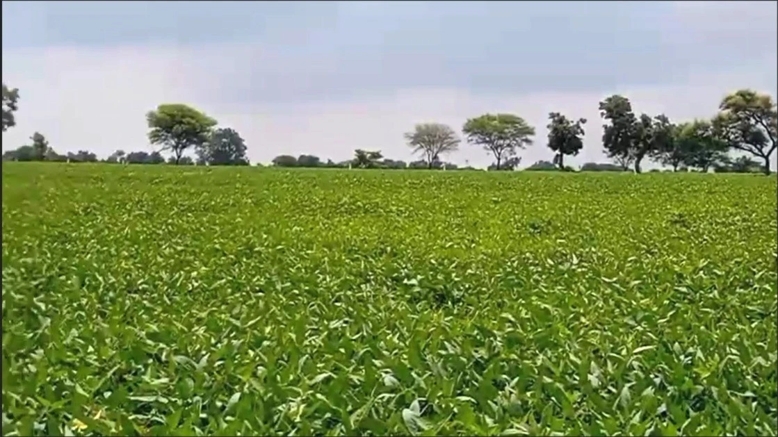 Ralayata Haibat, Madhya Pradesh 456550, India
