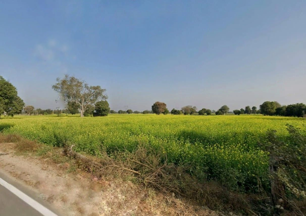 FPHH+75R, Jatpur, Rajasthan 301030, India preview 2