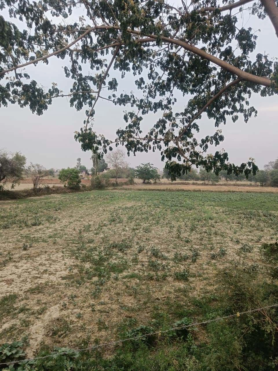 Bhagwanpur, Uttar Pradesh 245206, India