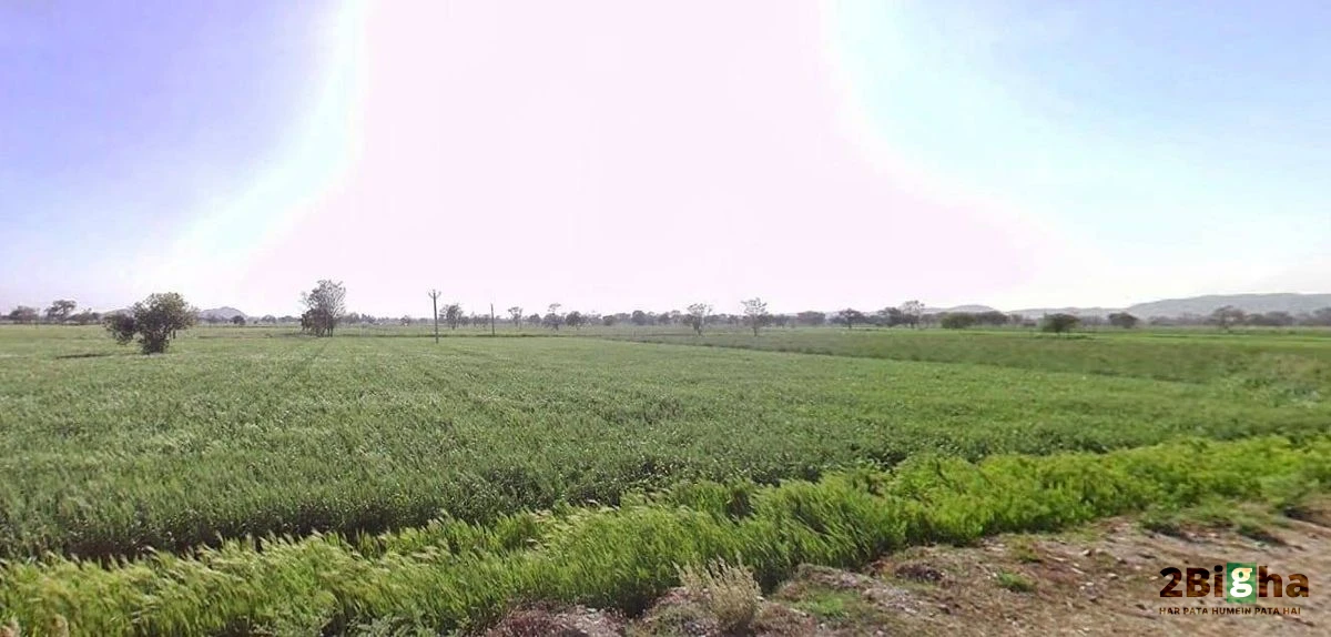 3PQR+WJ3, Jaipur - Jhunjhunu Bypass Rd, Tantiyawas, Rampura Dabri, Rajasthan 303704, India