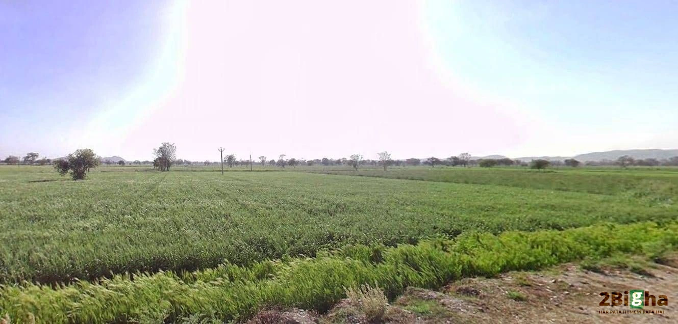 3PQR+WJ3, Jaipur - Jhunjhunu Bypass Rd, Tantiyawas, Rampura Dabri, Rajasthan 303704, India