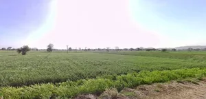 3PQR+WJ3, Jaipur - Jhunjhunu Bypass Rd, Tantiyawas, Rampura Dabri, Rajasthan 303704, India preview 3