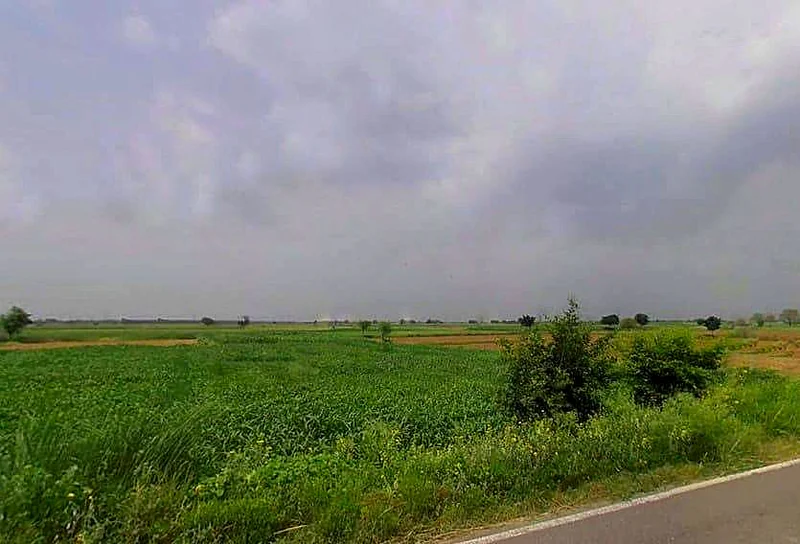 VWQX+G2G, Nawli, Haryana 122108, India preview 2