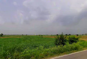 VWQX+G2G, Nawli, Haryana 122108, India preview 2