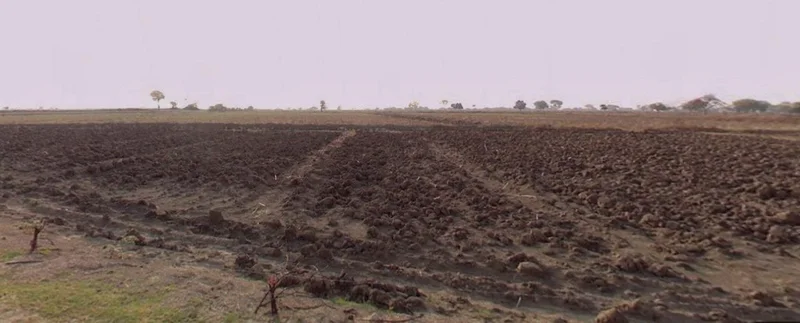 Barnagar, Madhya Pradesh 456771, India preview 2