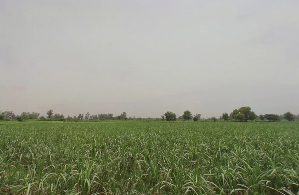 Bhawanpur, Uttar Pradesh, India